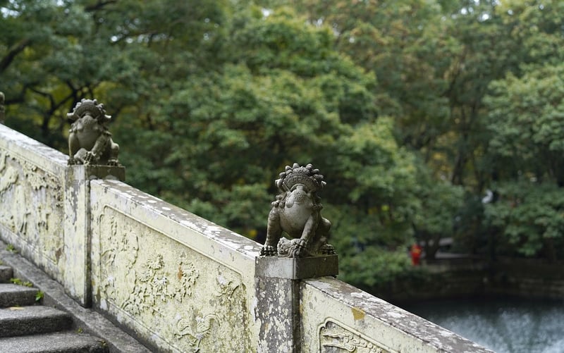 Guardians of the Continuum